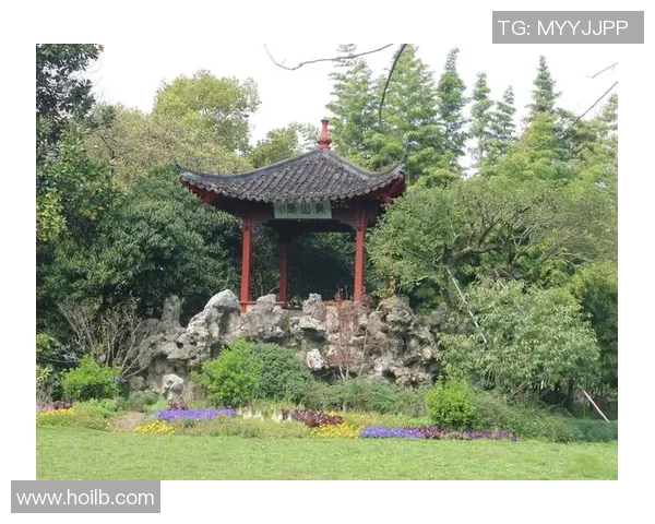 赛后分析：杭州乒乓球队与广州乒乓球队的战术意识与表现对比