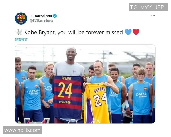 篮球明星与足球明星的魅力对比与影响力分析