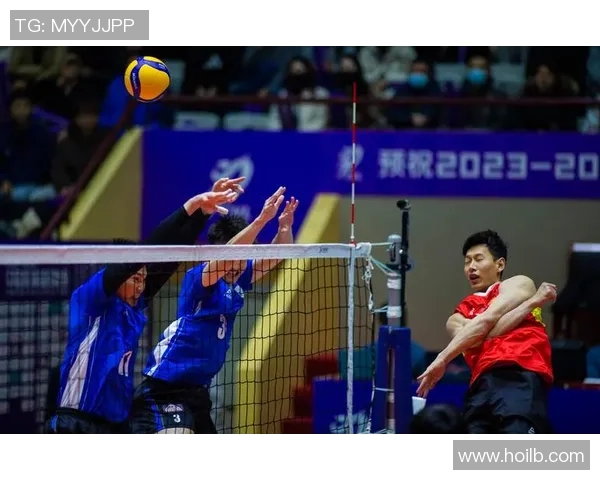 杭州排球队意识争议引发热议球迷与专家观点碰撞激烈